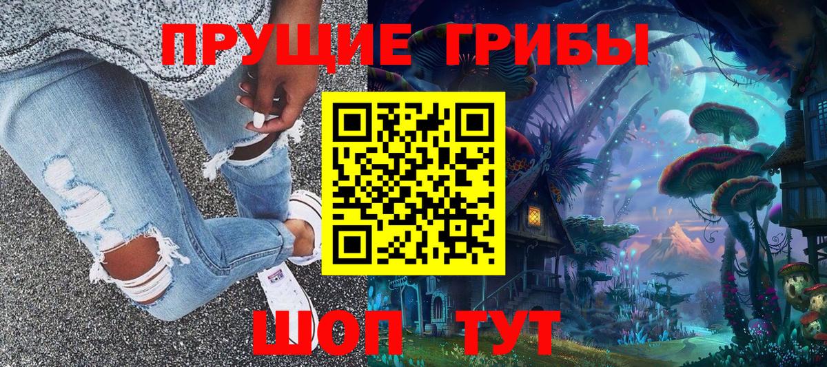 Псилоцибиновые грибы Cubensis  Галлюциногенные грибы прущие грибы  Кудрово  Вход с VPN 